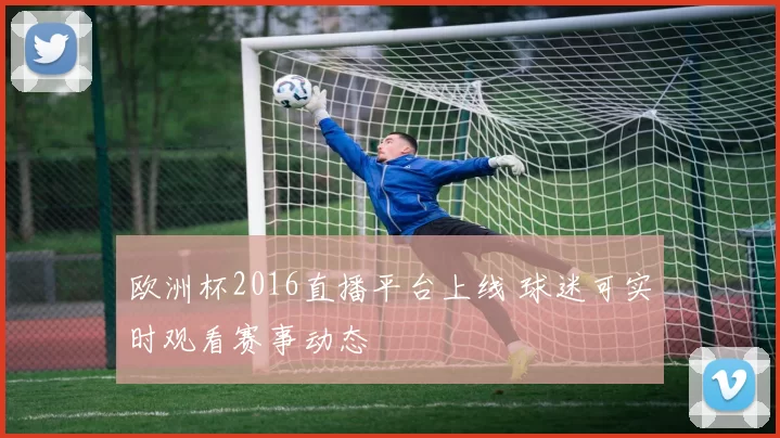 欧洲杯2016直播平台上线 球迷可实时观看赛事动态