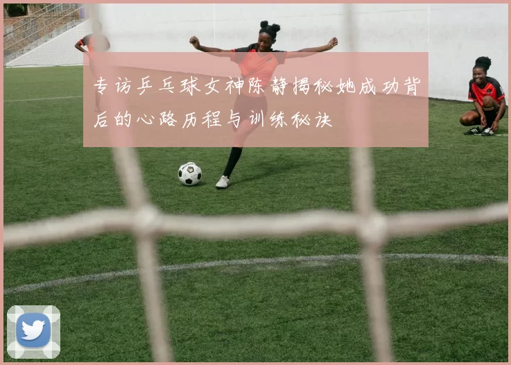 专访乒乓球女神陈静揭秘她成功背后的心路历程与训练秘诀