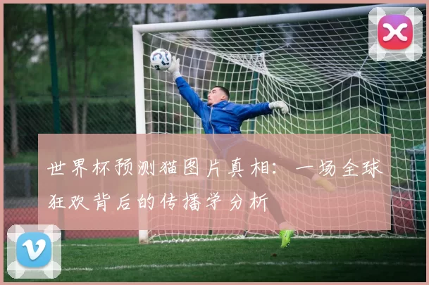 世界杯预测猫图片真相：一场全球狂欢背后的传播学分析