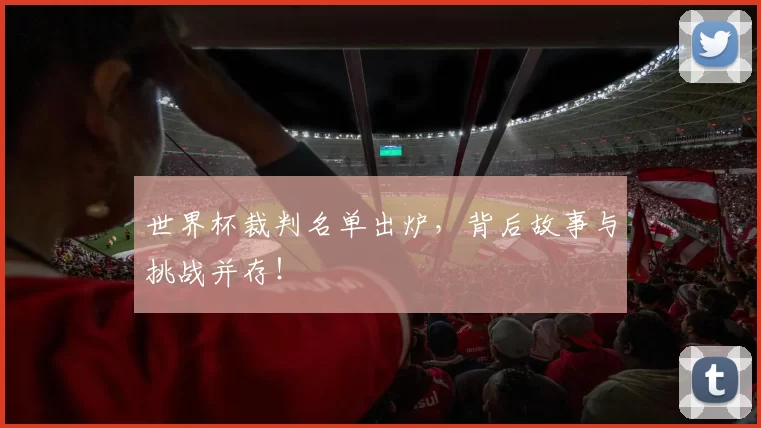 世界杯裁判名单出炉,背后故事与挑战并存!