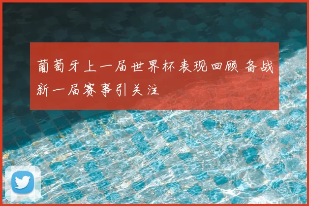 葡萄牙上一届世界杯表现回顾 备战新一届赛事引关注