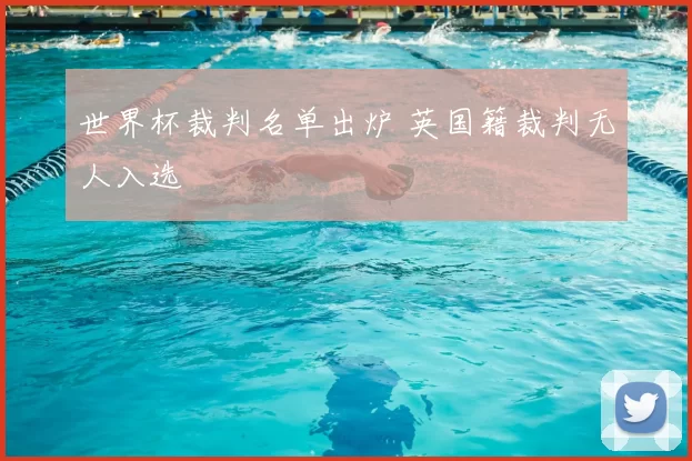 世界杯裁判名单出炉 英国籍裁判无人入选