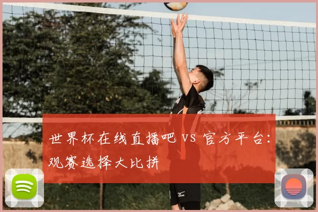 世界杯在线直播吧 vs 官方平台：观赛选择大比拼