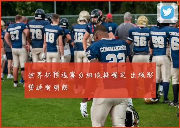 世界杯预选赛分组依据确定 出线形势逐渐明朗