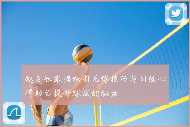 赵芳独家揭秘羽毛球技巧与训练心得助你提升球技的秘诀