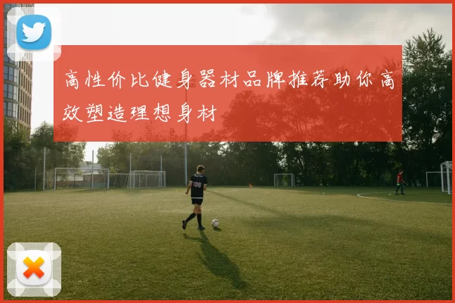 高性价比健身器材品牌推荐助你高效塑造理想身材