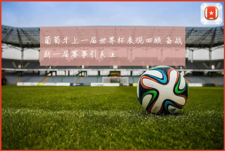 葡萄牙上一届世界杯表现回顾 备战新一届赛事引关注