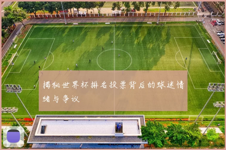 揭秘世界杯排名投票背后的球迷情绪与争议