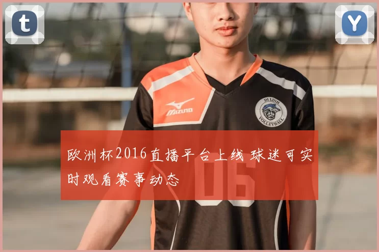 欧洲杯2016直播平台上线 球迷可实时观看赛事动态