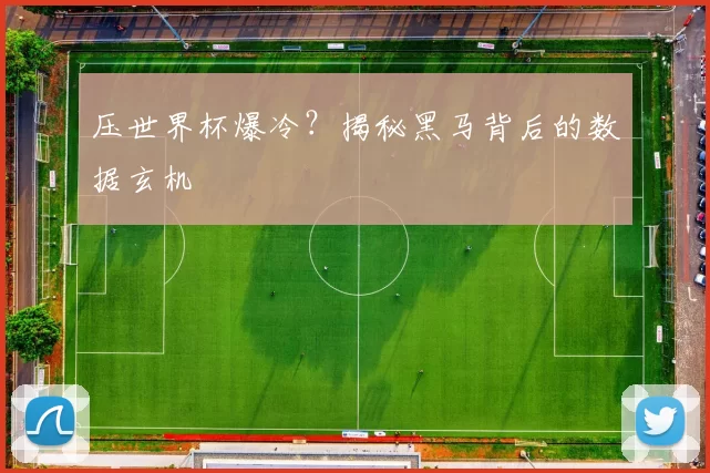 压世界杯爆冷？揭秘黑马背后的数据玄机