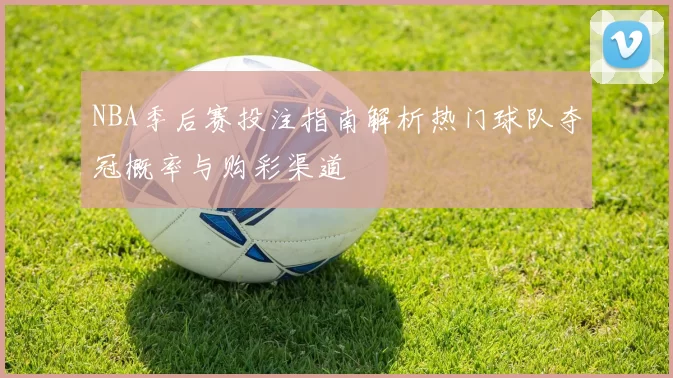 NBA季后赛投注指南解析热门球队夺冠概率与购彩渠道
