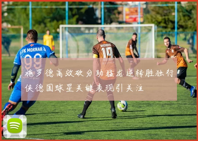施罗德高效砍分助猛龙逆转胜独行侠德国球星关键表现引关注